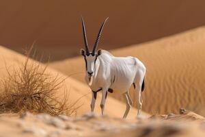 AI generated Arabian oryx antelope standing in the middle of a desert photo