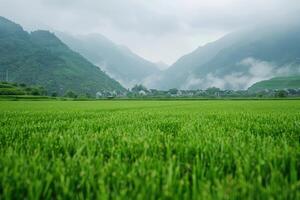AI generated Empty green field Chinese village on background. photo