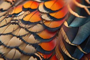 AI generated Closeup abstract background image of colorful ring-necked pheasant feathers. photo