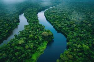 AI generated Amazonian lush rain forest jungle. Save the planet concept. photo