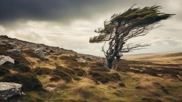 ai generado un escénico campo dónde el viento látigos terminado el escénico Páramo foto