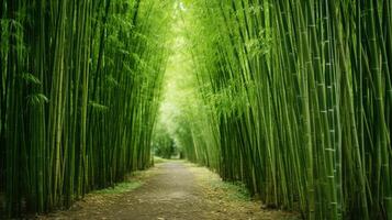 AI generated Tall and graceful bamboo grove landscape photo