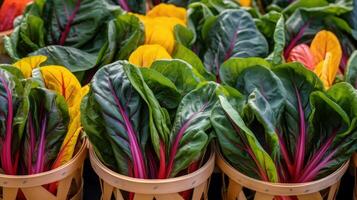 AI generated Vibrant multi colored chard leaves presented in appealing and abundant baskets photo