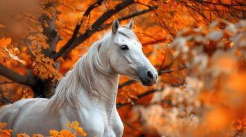 AI generated Portrait of beautiful white horse in autumn photo