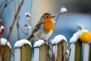 ai generado europeo Robin encaramado en un jardín cerca en invierno. foto