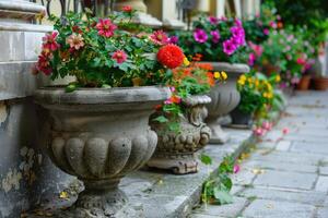 AI generated Decorative flowers in cement pots. photo