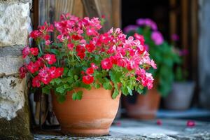 AI generated Geranium flowers in planter on a patio of an old house with rustic decor. photo