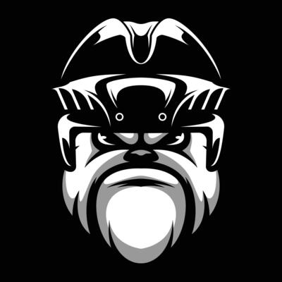Bulldog Hockey Helmet Black and White