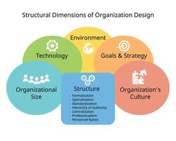 dimension of organization for contextual and structural dimensions vector