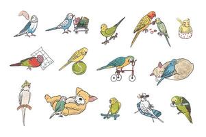 loros aves mascotas vector ilustraciones colocar.