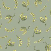 Mimosa branch flower vector seamless pattern.