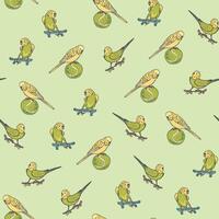 Parrots birds pets vector seamless pattern.