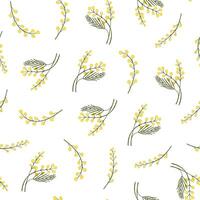 Mimosa branch flower vector seamless pattern.