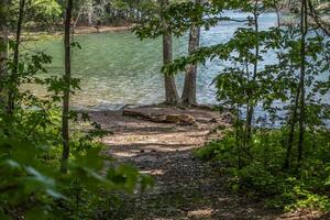 Trail to the lake photo