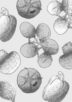 Grayscale vegetables illustration sketch style with spray texture vector