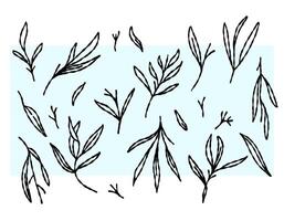 Set of leaves. Decorative elements are turned to the side. Vector graphics for textiles