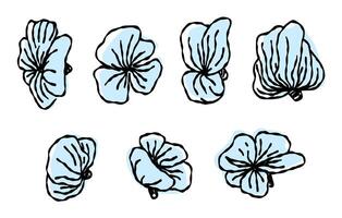 Doodle set of flowers. vector drawing, line. Monochrome artistic botanical illustration, isolated floral elements, hand drawn illustration.
