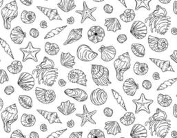 Sea shells black and white seamless vector background. Vector graphics for textile print, paper