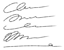 hand lettering line, signature line vector on a white background. Doodle signature