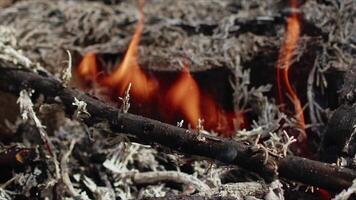 abstrato carvalho madeira fogueira dentro chamas fumaça e cinzas video