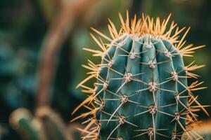 AI generated Selective focus shot of a cactus with big spikes. photo