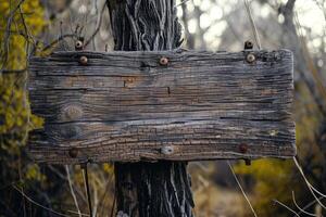 AI generated Old wooden sign in nature photo