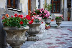 AI generated Decorative flowers in cement pots. photo