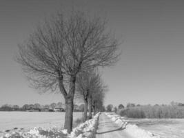 the german muensterland photo