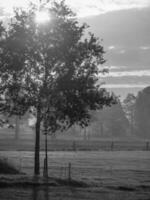 the german muensterland photo