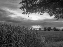 the german muensterland photo