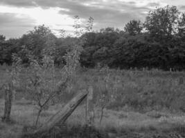 the german muensterland photo