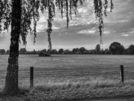 the german muensterland photo