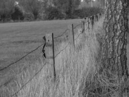 the german muensterland photo