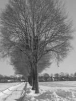 the german muensterland photo