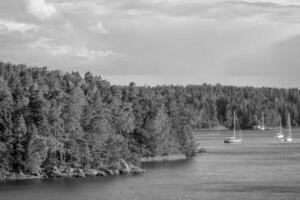 baltic sea in sweden photo