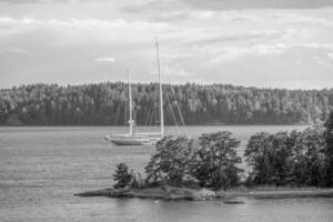 baltic sea in sweden photo