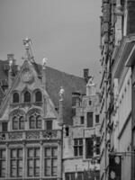 antwerp in belgium photo