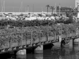 bari in italy photo