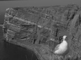 Helgoland island in germany photo