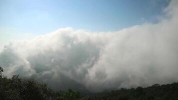 nebbia movimento al di sopra di collina e montagna nel il mattina tempo periodo video