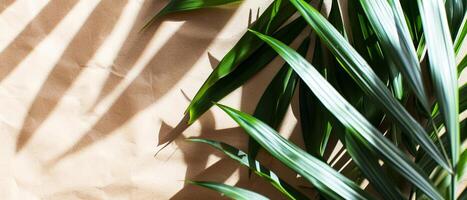 AI generated Fresh green plant leaves casting crisp shadow patterns on a textured paper surface in natural sunlight photo