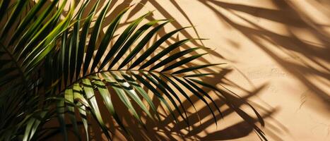 AI generated The interplay of light and shadow from tropical palm leaves creates an artistic pattern on a warm, textured wall photo