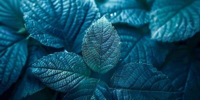 AI generated A macro shot reveals the stunning vein pattern of a blue-tinted leaf, highlighting the intricate and beautiful design inherent in nature's creations photo