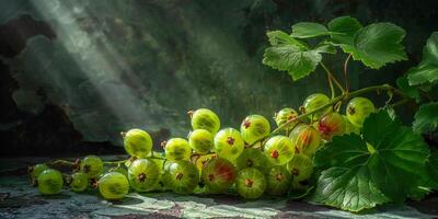 ai generado un racimo de Fresco verde Grosella colgando desde un árbol, mojado en luz de sol. el vibrante frutas son maduro y Listo a ser cosechado para consumo foto