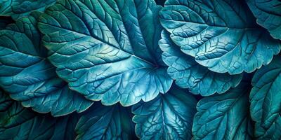 ai generado un de cerca de el intrincado patrones y texturas de azul verde hojas, exhibiendo el natural elegancia y complejidad de planta vida foto