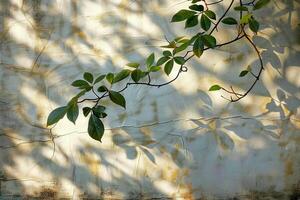 AI generated Soft shadow of leaves and branches on a white textured wall, giving a serene and natural feel. photo