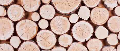 AI generated Freshly Cut Wooden Logs Background. A full frame background of freshly cut, evenly stacked wooden logs showing clean-cut textures photo