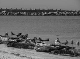 el playa de justo foto