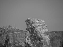 helgoland island germany photo