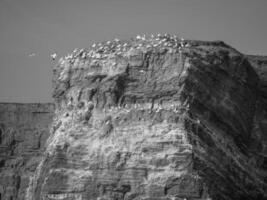 helgoland island germany photo